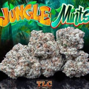 Jungle Boys Jungle Mints
